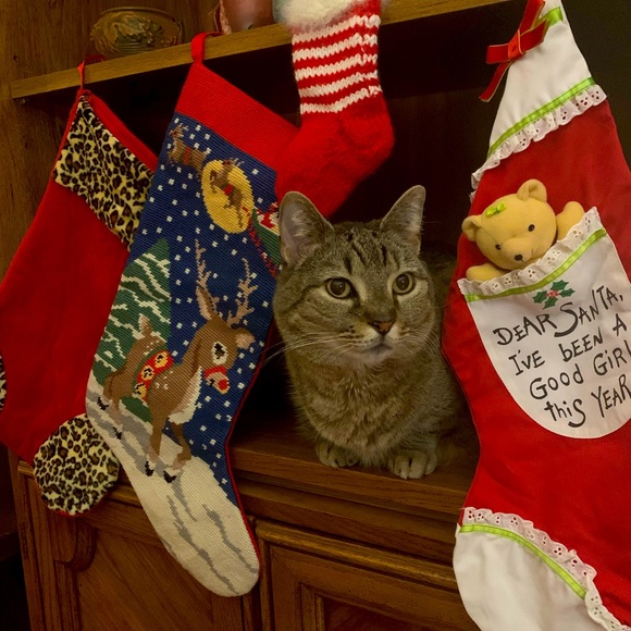 Meet your Posher, Jessica - Picture 2 of 2